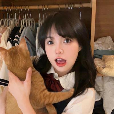 红毛猩猩的秘密生活