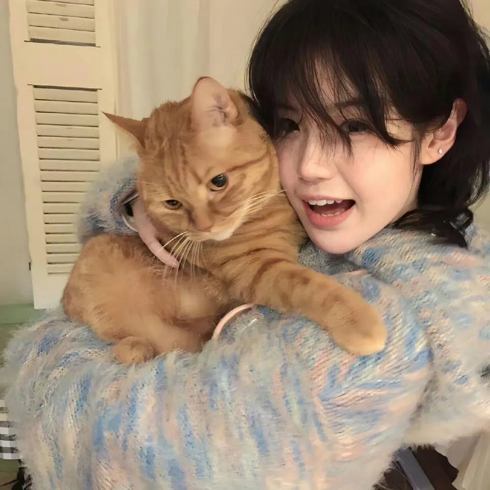 熊猫总动员